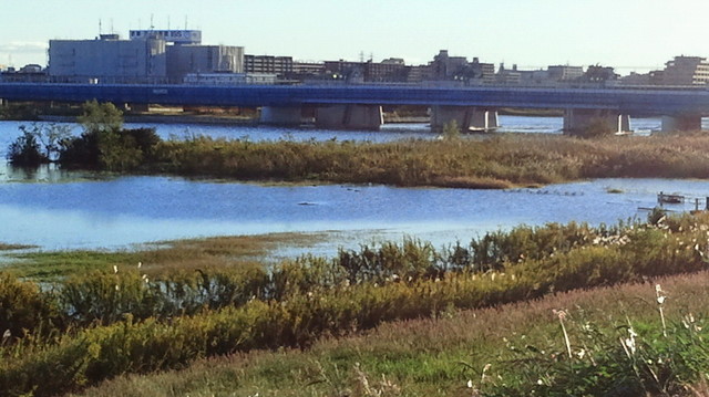 NEC_1304.JPG