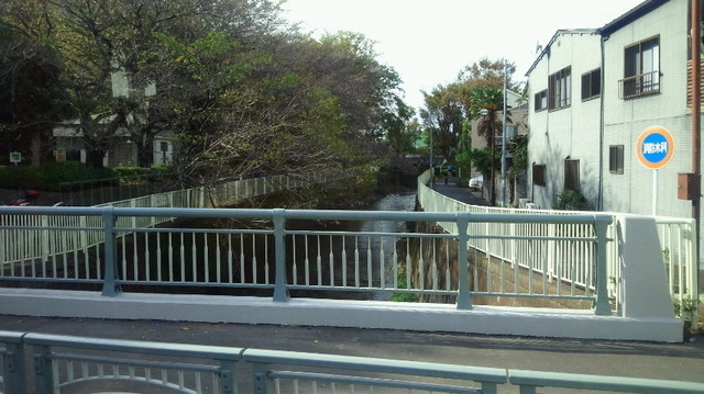 NEC_1304.JPG
