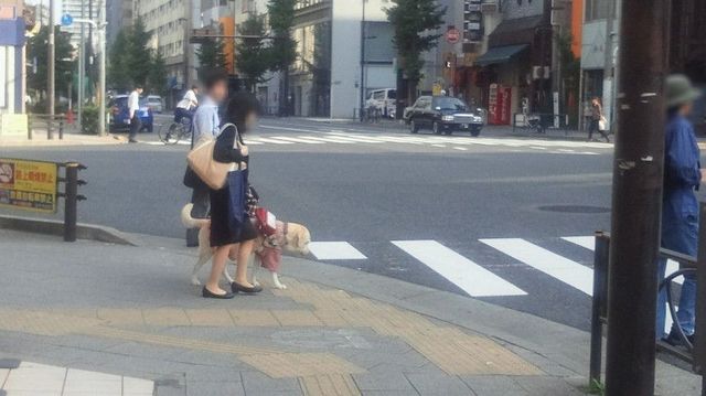 2017092608220000-1.jpg
