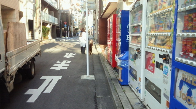 2019102308290001.jpg