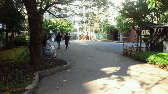 2019110112420001.jpg