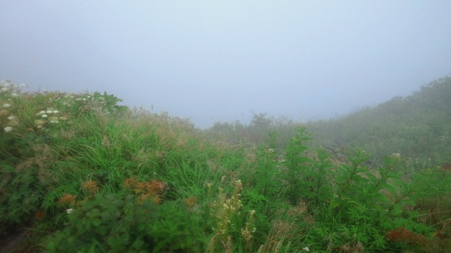 NEC_2343.JPG