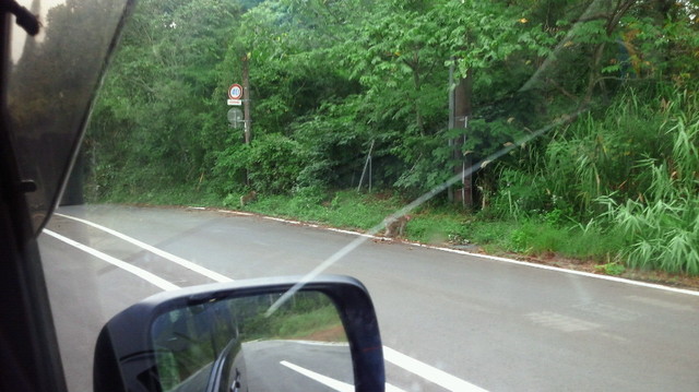 NEC_0110.JPG