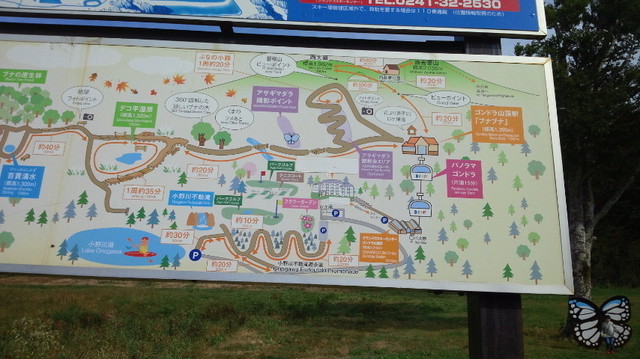 NEC_0071.JPG
