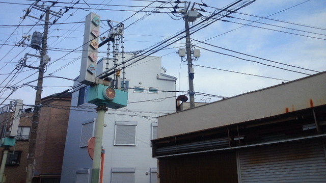 NEC_1701.JPG