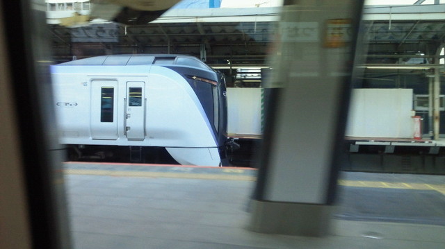 NEC_4279.JPG