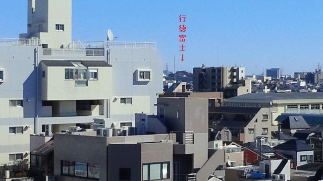 NEC_4419-1.jpg