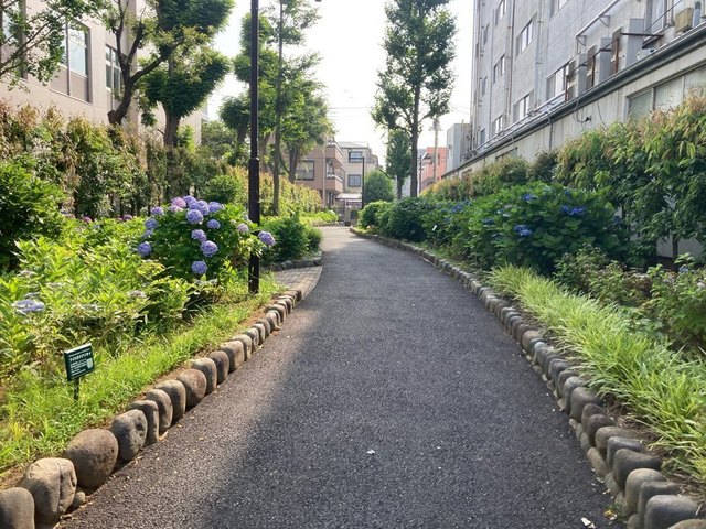 XTGP0550.JPG