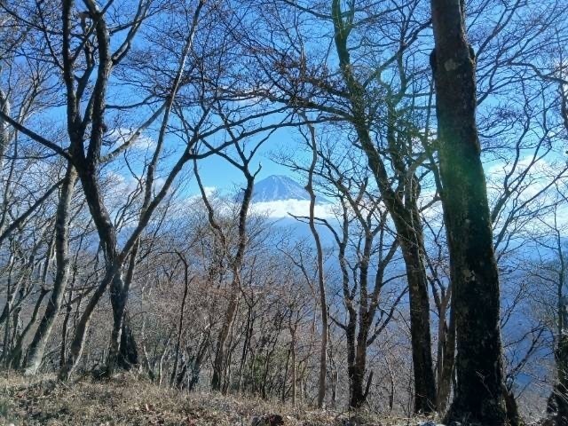 IMG_9534.JPG