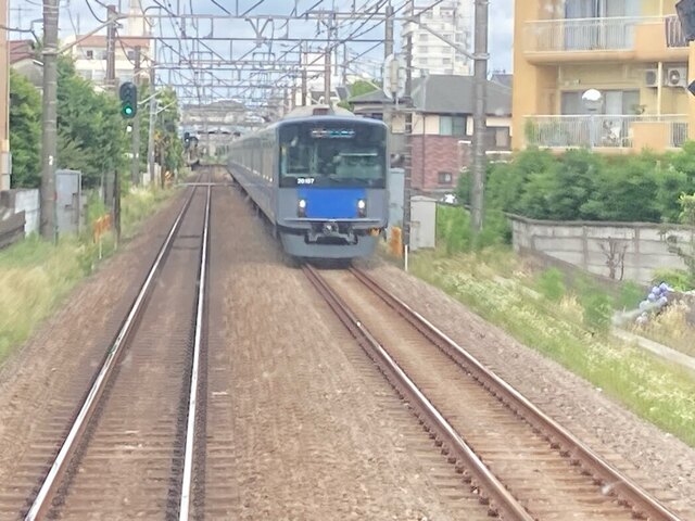 QSAR9714.JPG