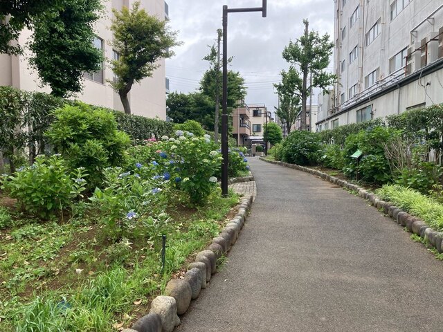 UIWZ6374.JPG